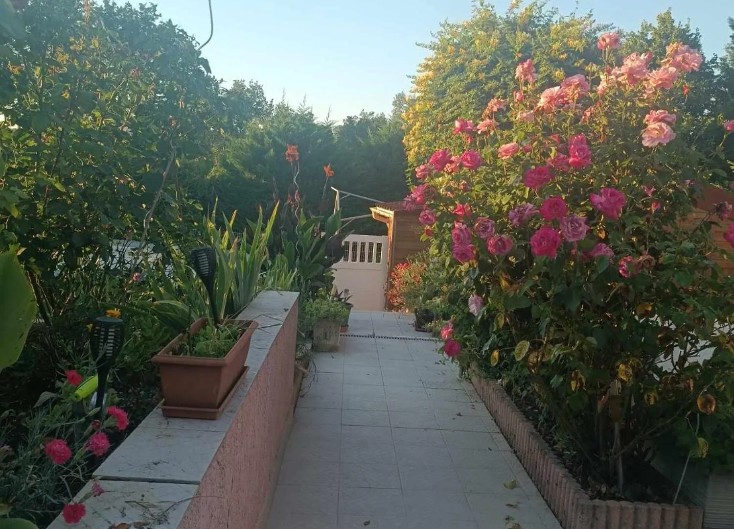Gite Rural Du Domaine Des Imbertaries Puylaurens Apartman